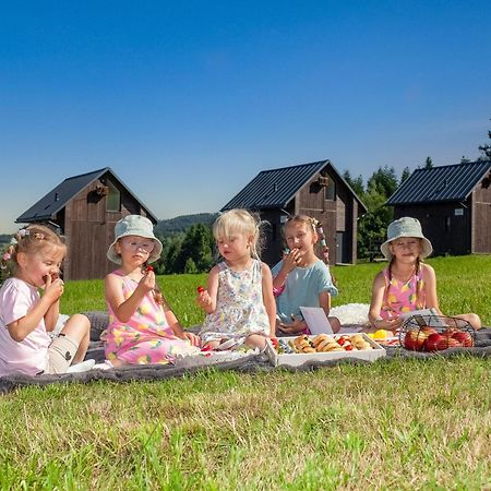 Polana Piorun Domki Wakacyjne W Beskidach Krynica Zdroj Exterior foto
