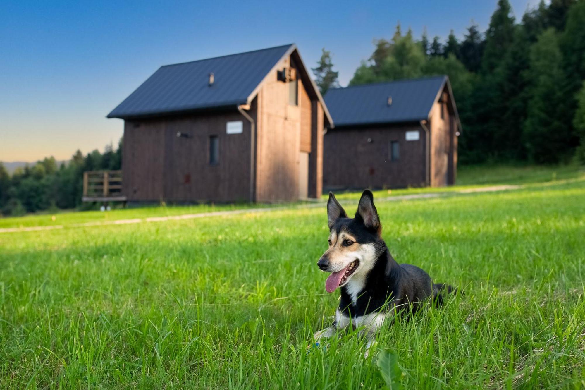 Polana Piorun Domki Wakacyjne W Beskidach Krynica Zdroj Exterior foto